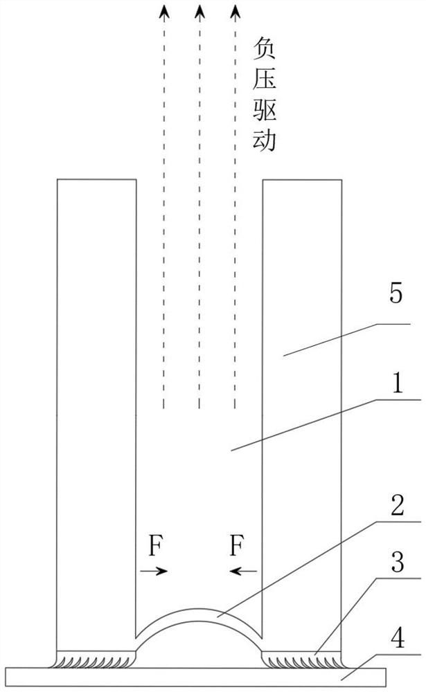 Negative-pressure-driven annular micro-wedge-shaped bristle bundle suction cup and preparation method thereof