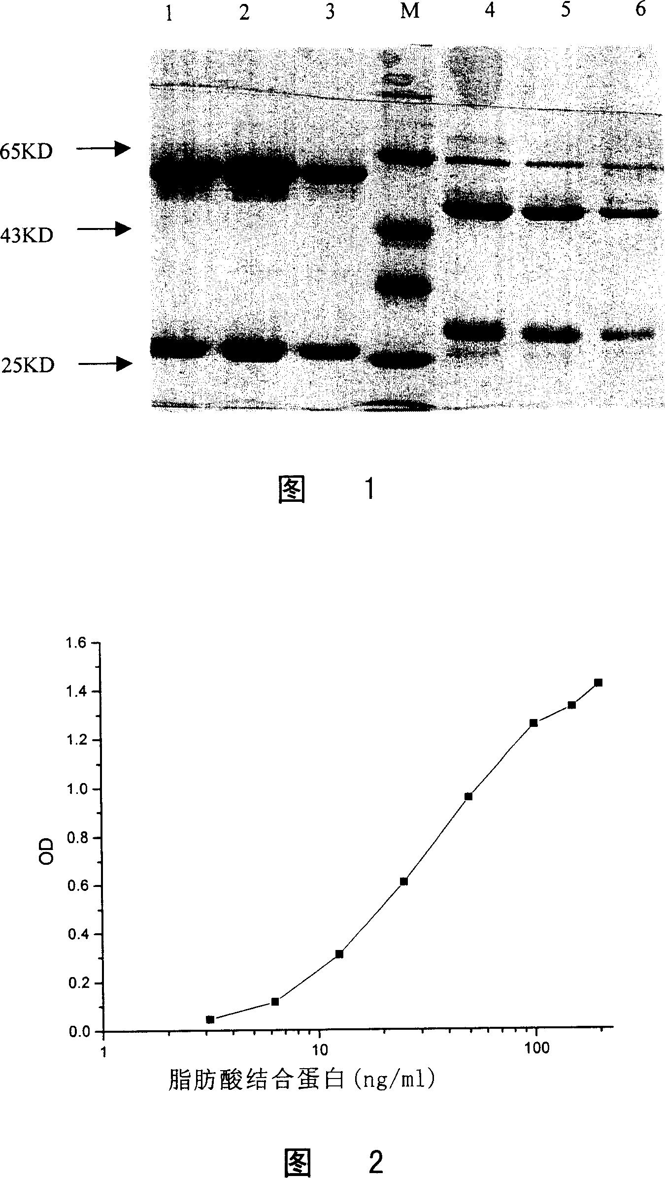 Method for preparing heart fatty acid binding protein monoclonal antibody and its use