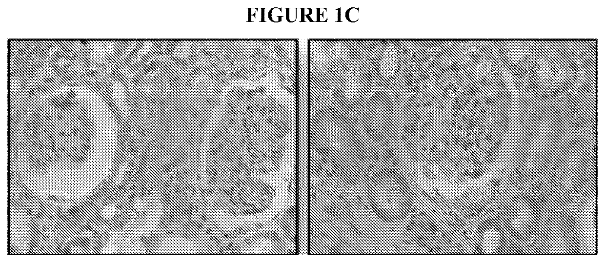 Use of il-12 to generate endogenous erythropoietin