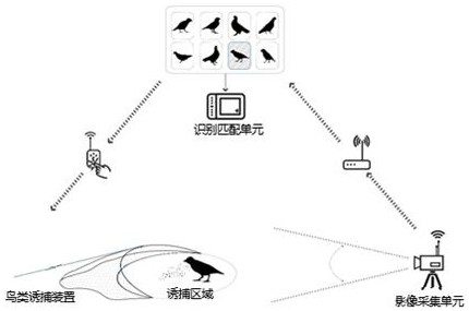 A kind of directional trapping system and trapping method for birds