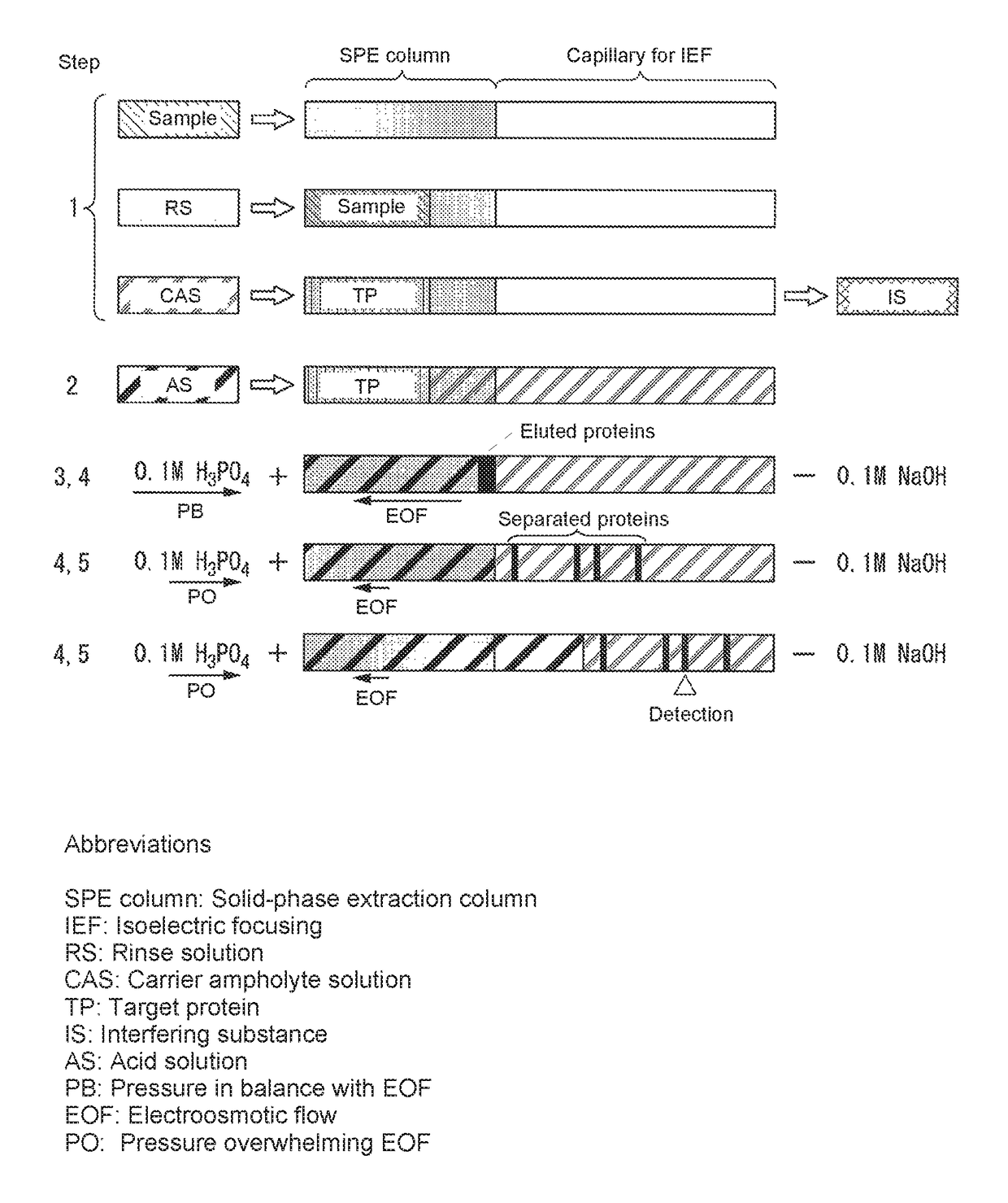 Capillary device for separation and analysis, microfluidic chip for separation and analysis, analysis method for proteins or peptides, electrophoresis instrument, and microfluidic chip electrophoresis instrument for separation and analysis