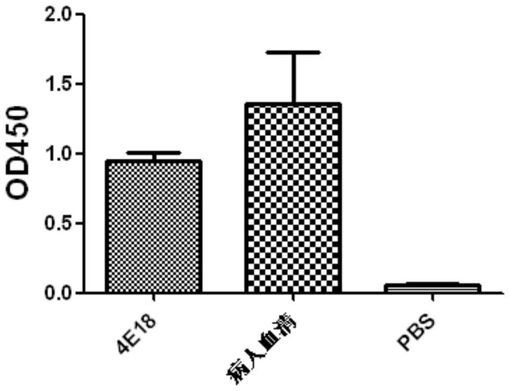 Anti-h7n9 fully human monoclonal antibody 4e18 and its preparation method and application