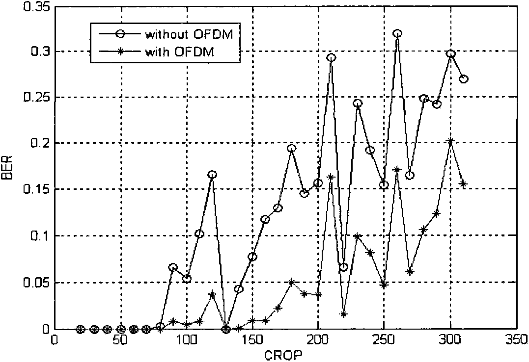Robust digital watermark algorithm based on OFDM-CDMA