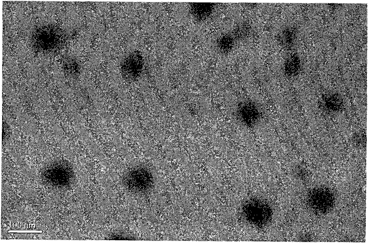 Method for preparing recombinant human endostatin chitosan nanoparticles for injection