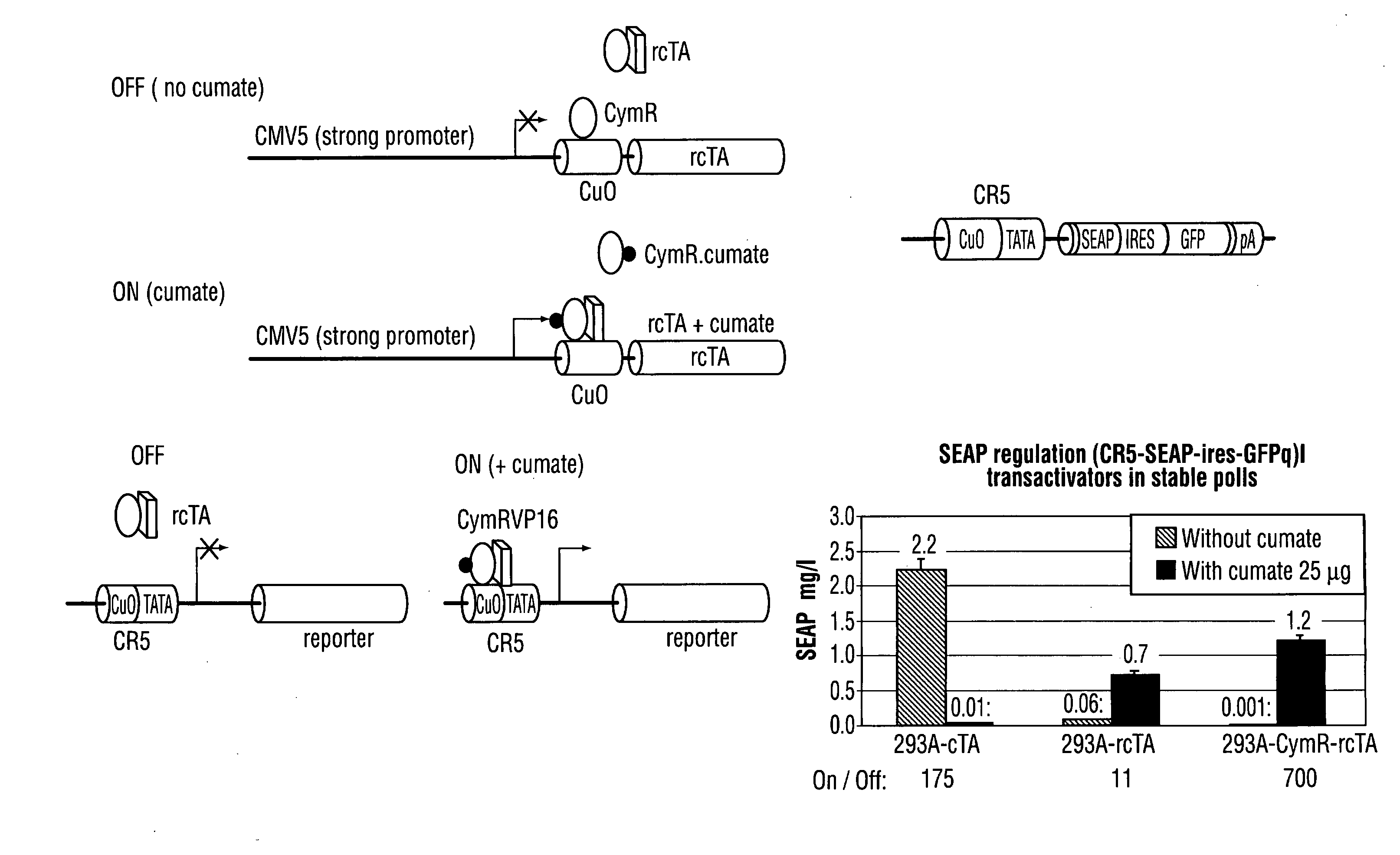 Expression System, Components Thereof and Methods of Use