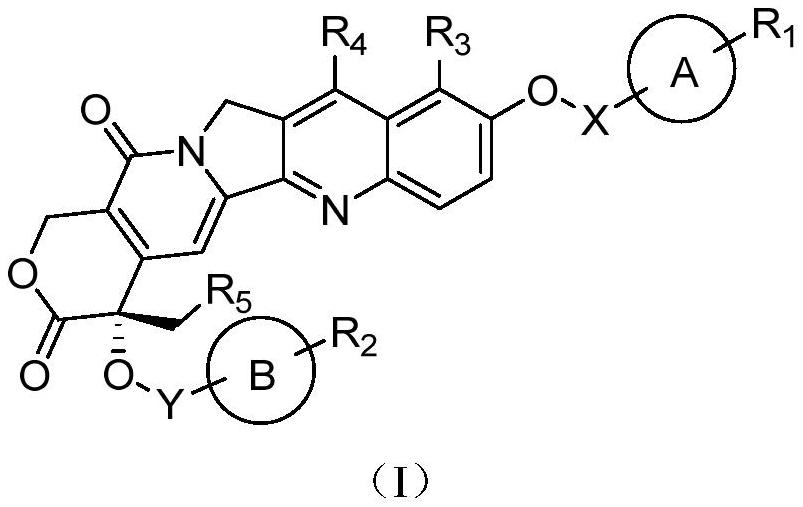 Camptothecin prodrug and application thereof