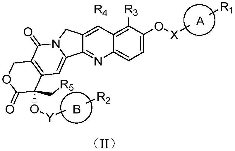 Camptothecin prodrug and application thereof