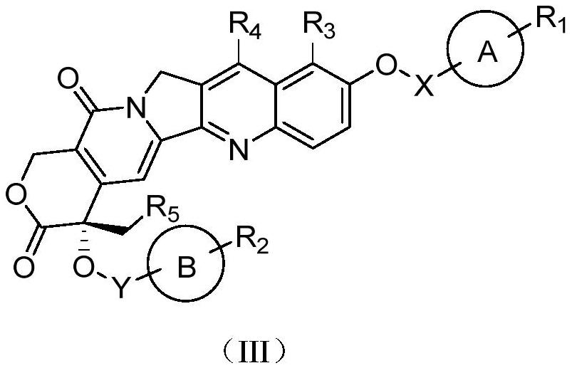 Camptothecin prodrug and application thereof