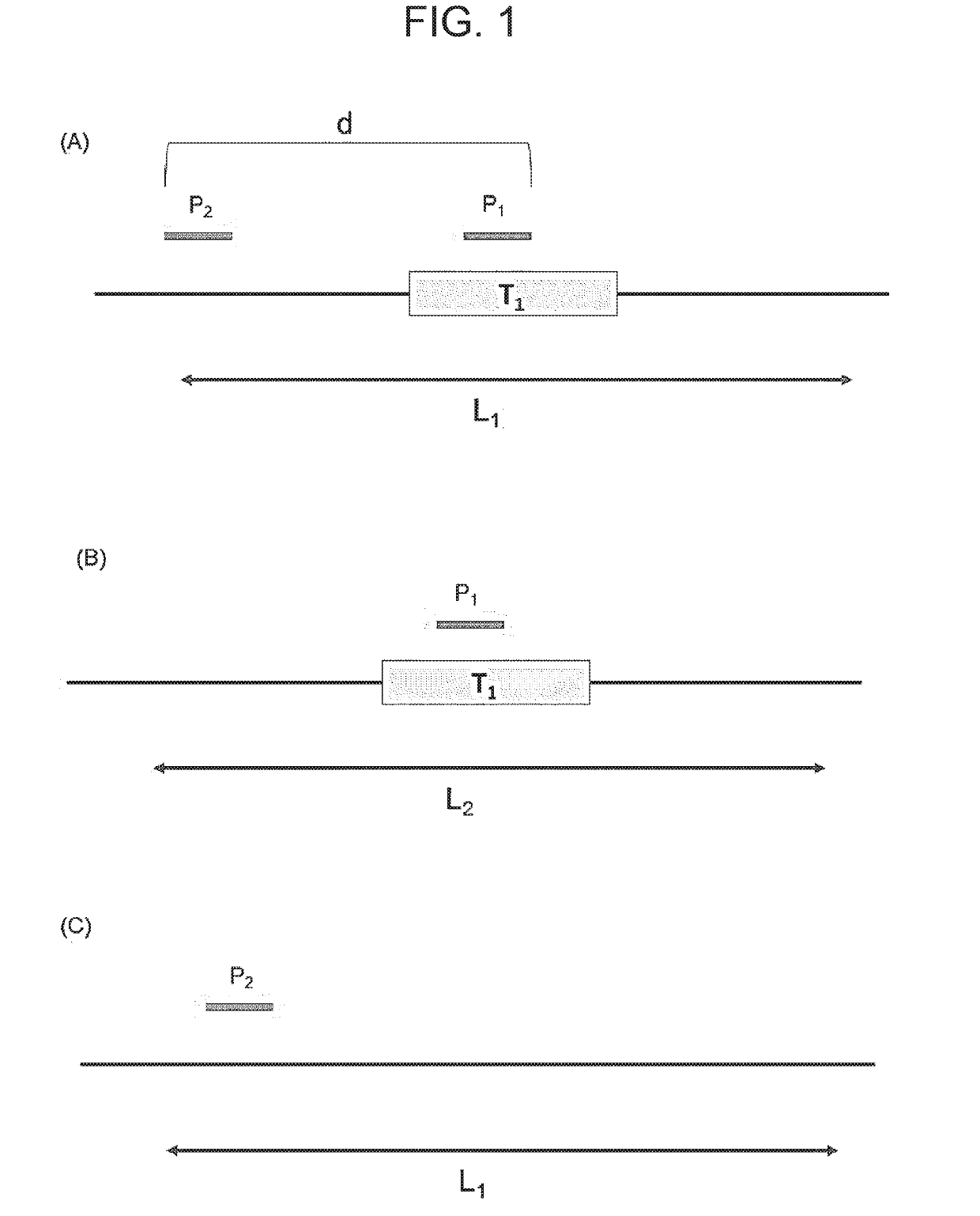 Method for modifying target site in genome of eukaryotic cell, and method for detecting presence or absence of nucleic acid sequence to be detected at target site