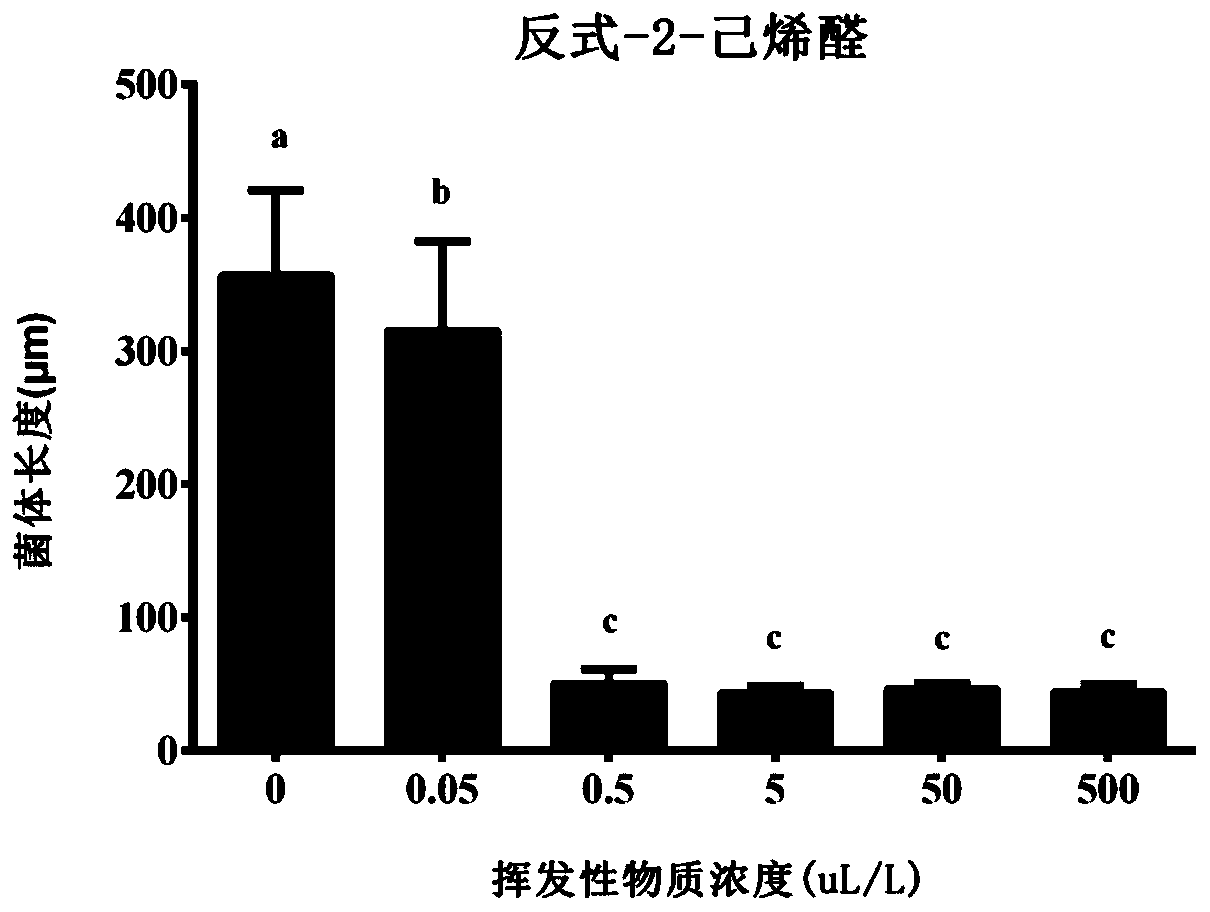 Application of C6 Aldehyde Volatile Substances in the Inhibition of Strawberry Coccidioides