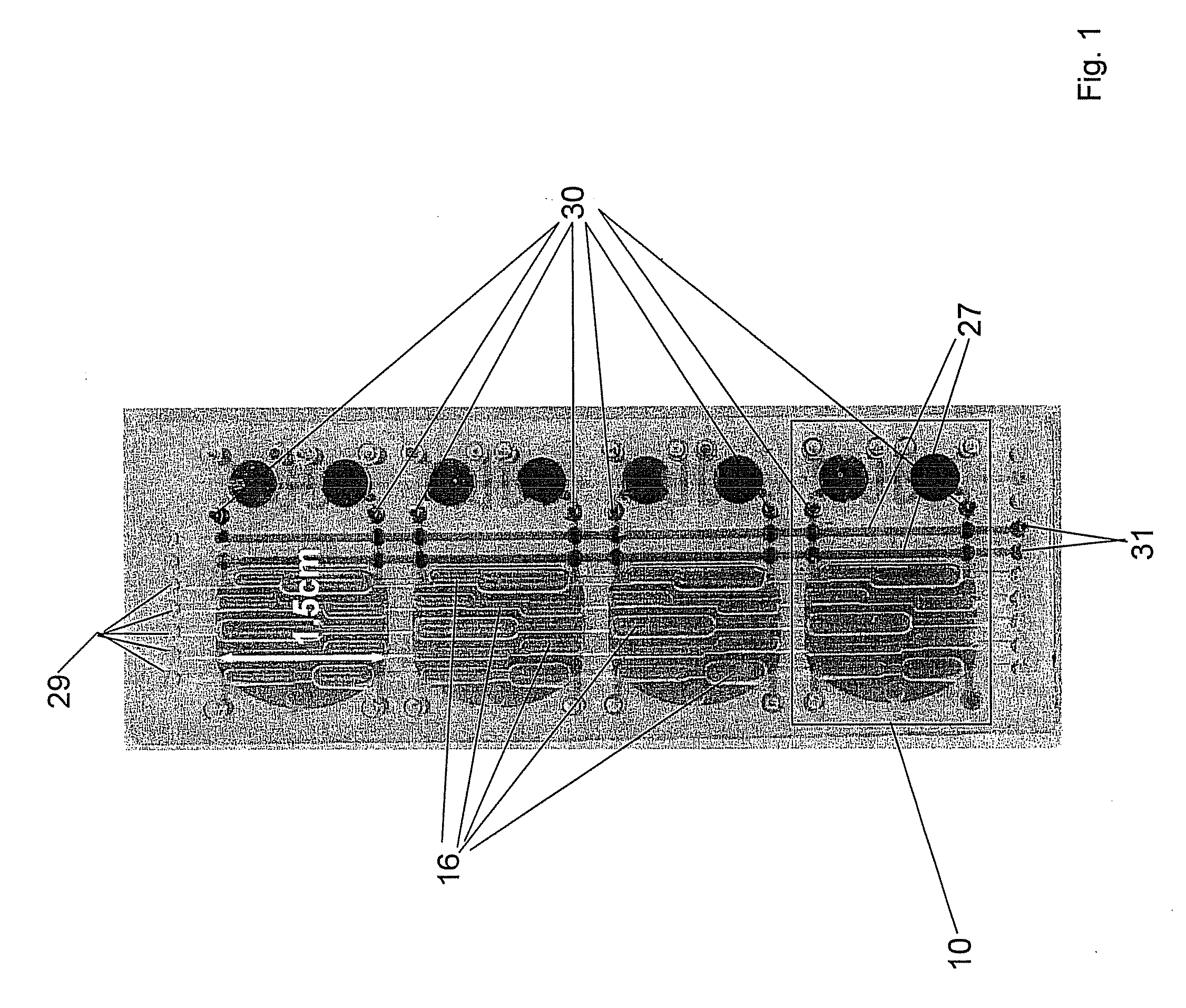 Parallel integrated bioreactor device and method