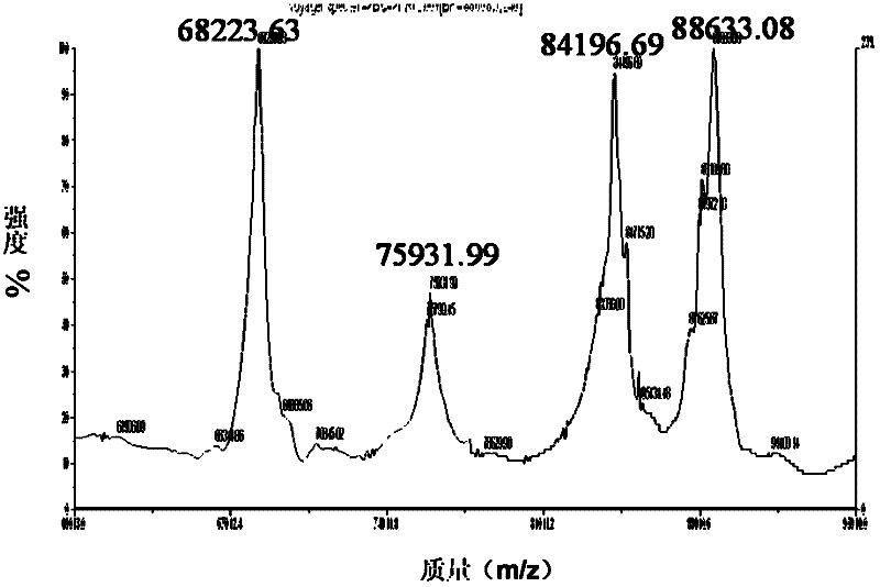 Method for identifying quantity of cysteine in protein and application thereof