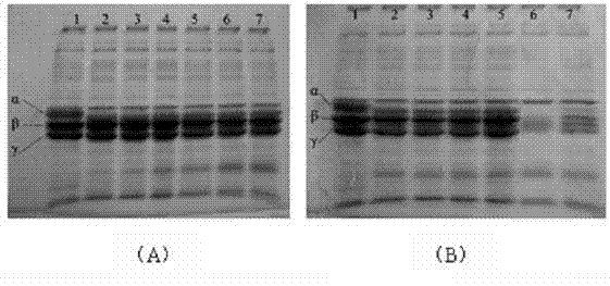 Agkistrodon acutus hemocoagulase gene and methods for preparing expression vector, host cell and recombinant protein thereof