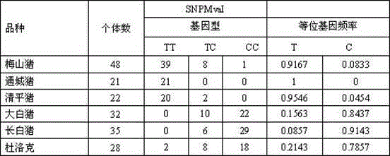 Molecular marker related to pig muscle pH value character and application thereof