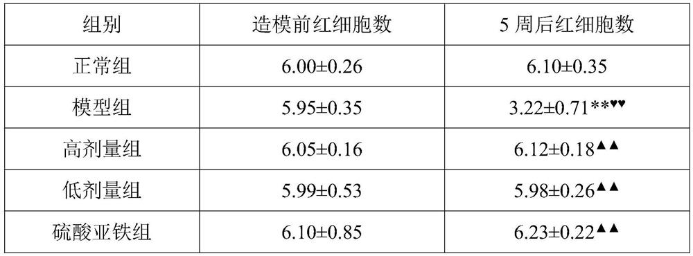 Blood protein polypeptide rich in heme iron and preparation method thereof