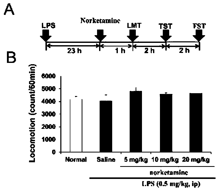 Application of norketamine in preparation of antidepressant drug
