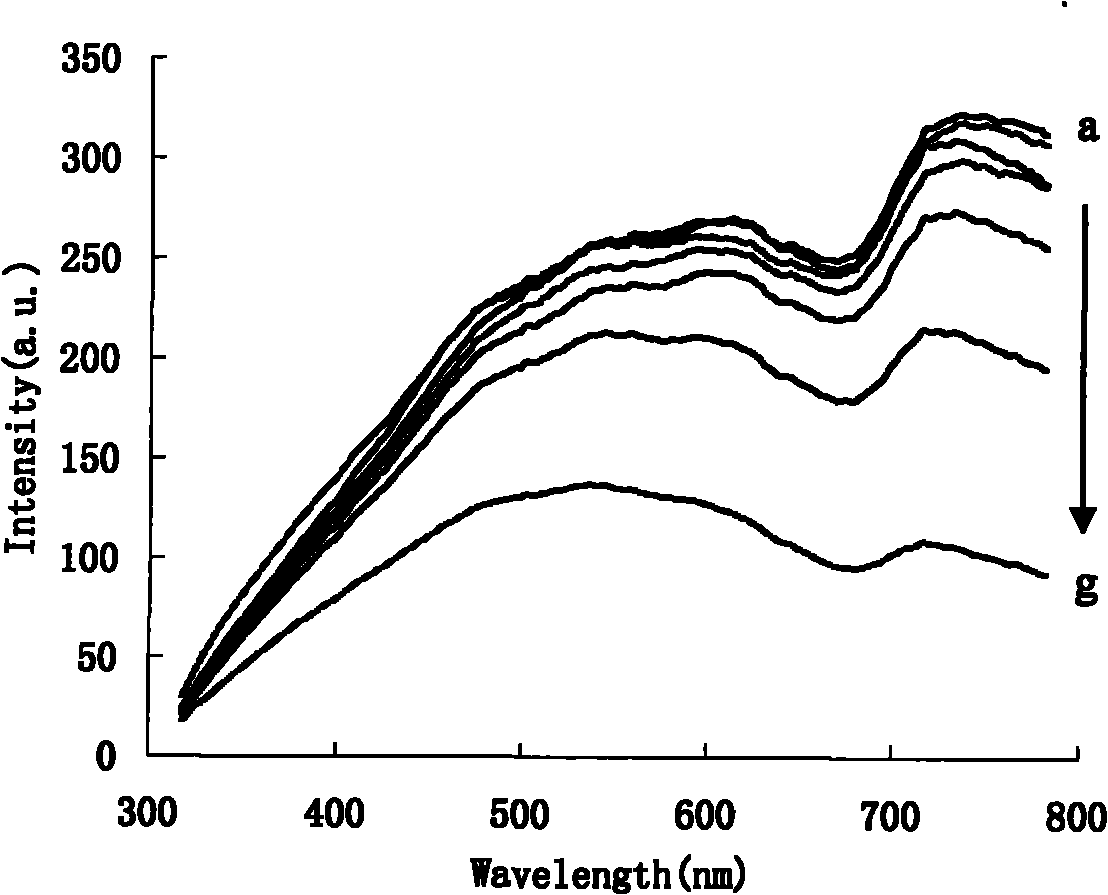 Method for measuring trace Hg2+ by using aptamer modified nano gold rhenium catalysis-tellurium particle resonance scattering spectrum