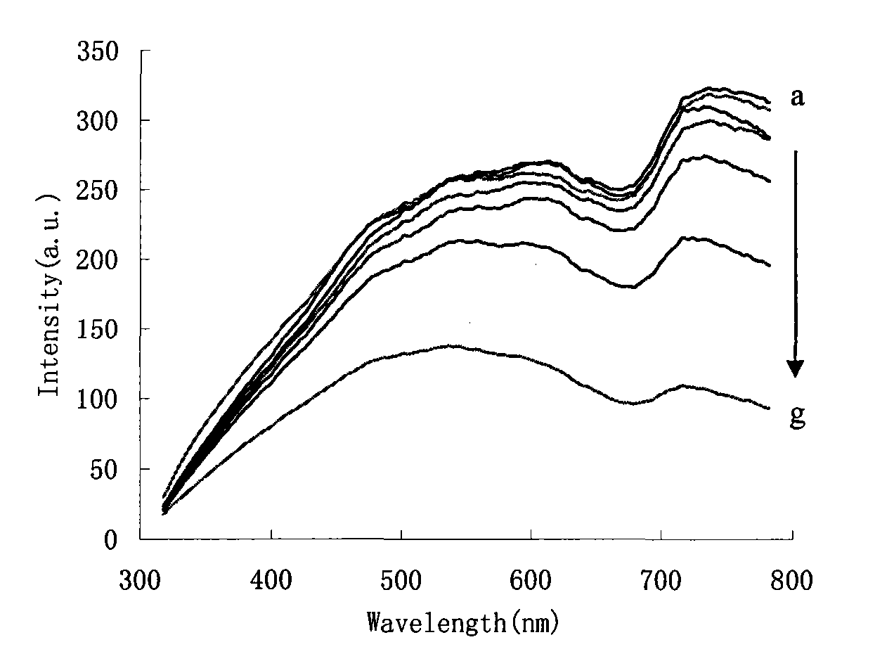Method for measuring trace Hg2+ by using aptamer modified nano gold rhenium catalysis-tellurium particle resonance scattering spectrum