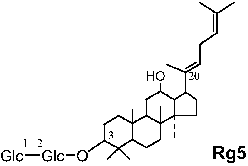 Medicinal composition and application thereof