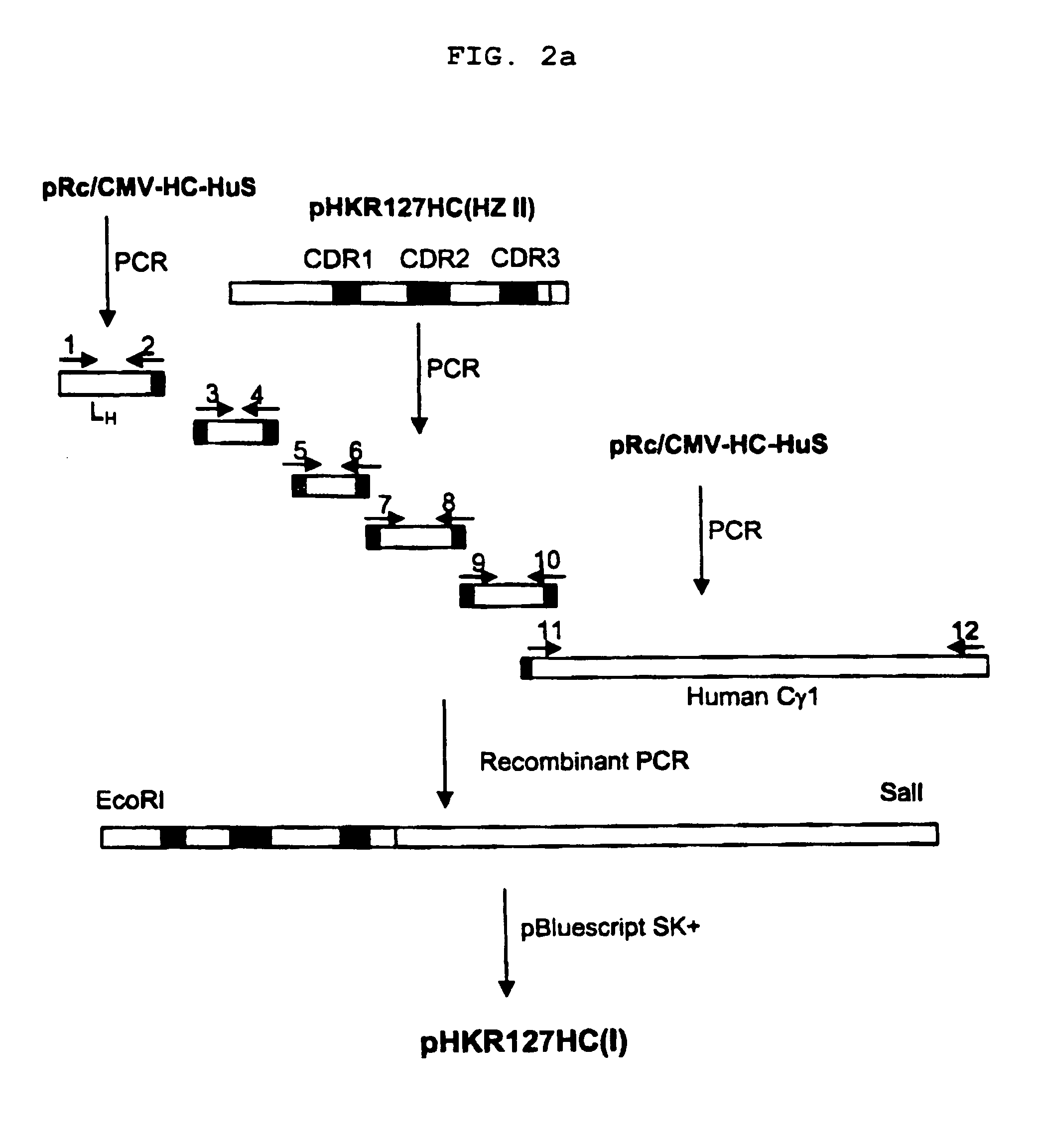Humanized antibody specific for surface antigen pre-S1 of HBV and preparation method thereof