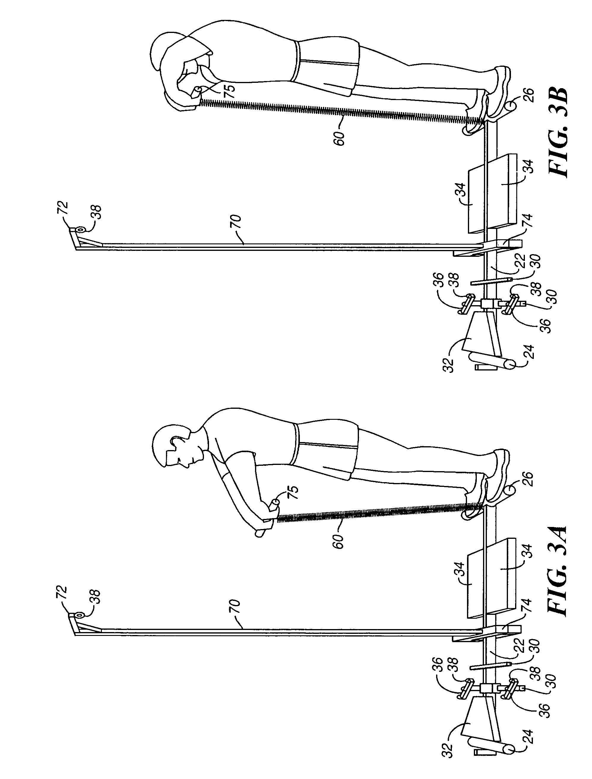 Full body exercise apparatus