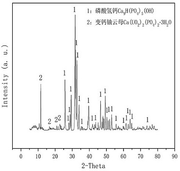 Method for direct mineral uranium fixation from acidic hexavalent uranium solution