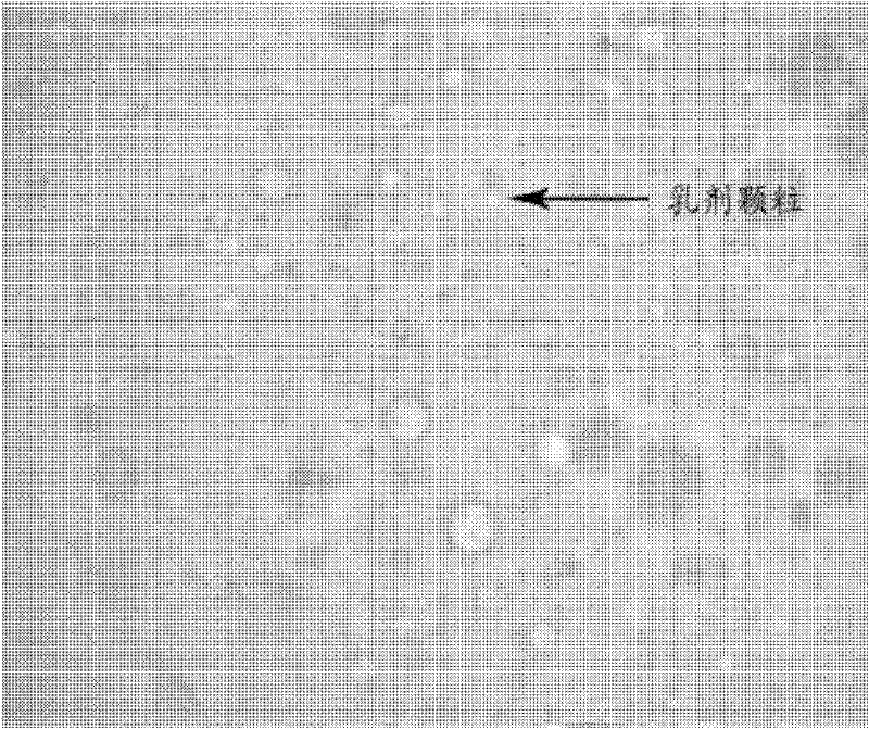 A kind of long-acting antibacterial drug oil emulsion and preparation method thereof