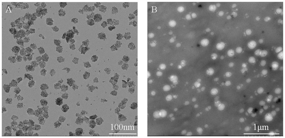 A preparation method of core-shell titanium dioxide@carboxychitosan nanoparticles
