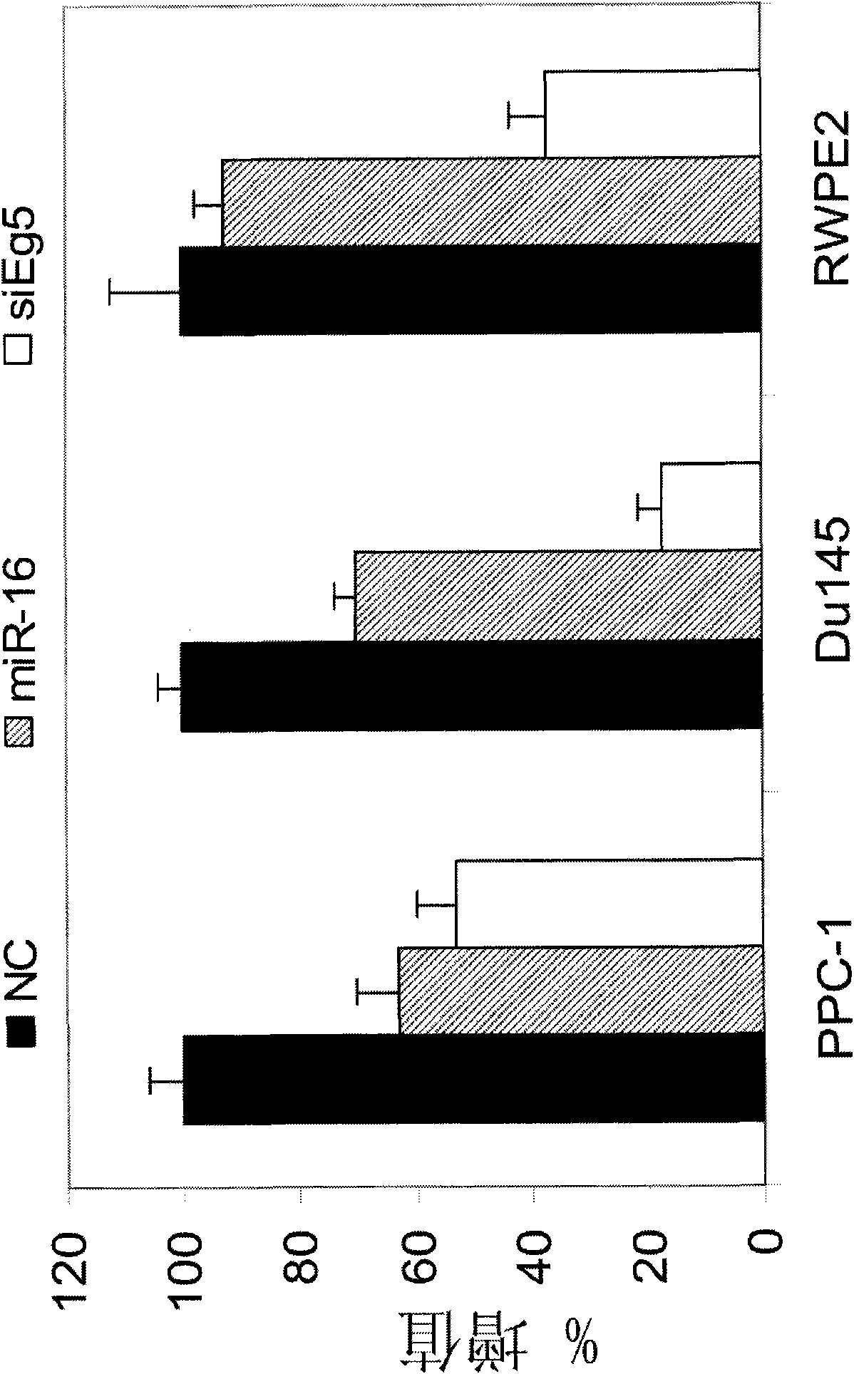 MiR-16 regulated genes and pathways as targets for therapeutic intervention