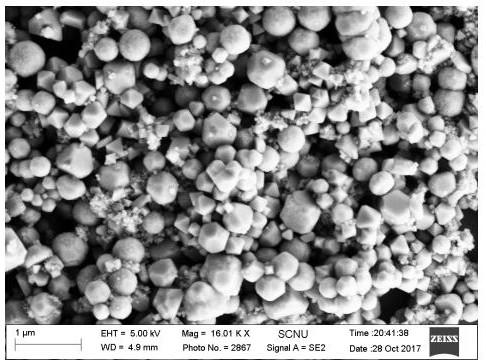 Preparation method of cobalt oxide nanocrystal and prepared cobalt oxide nanocrystal