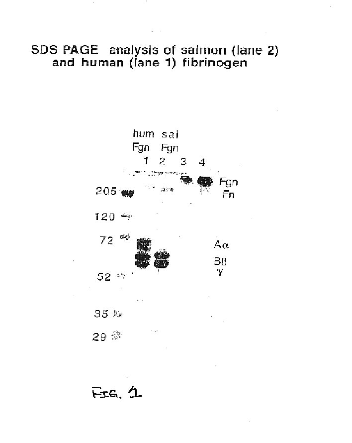 Method of using fish plasma components for tissue culture