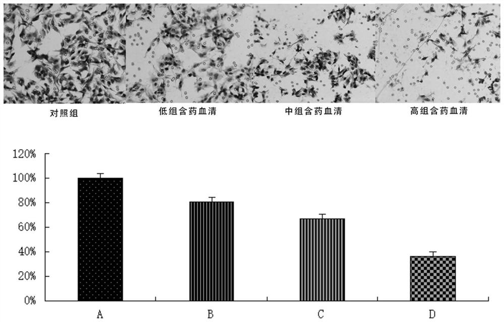 Application of pueraria flower spleen-strengthening-relieving formula drug-containing serum in cancer cells