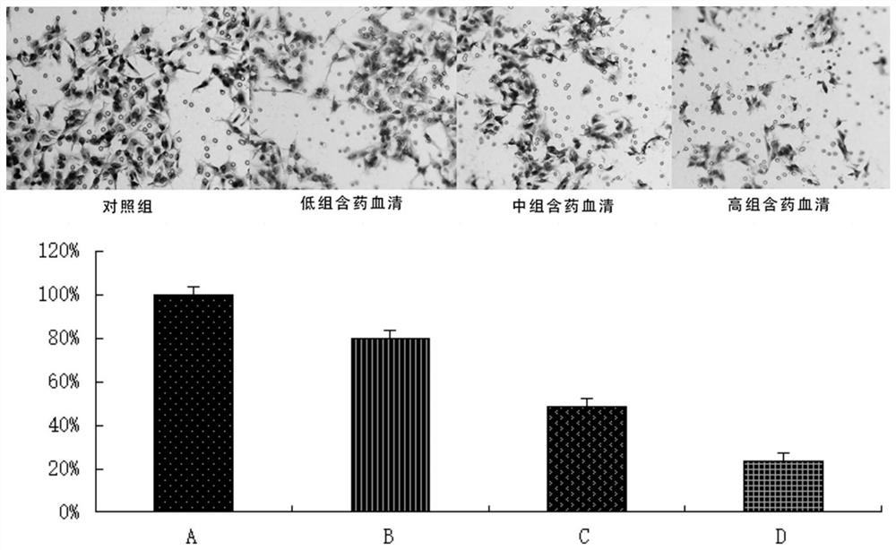 Application of pueraria flower spleen-strengthening-relieving formula drug-containing serum in cancer cells