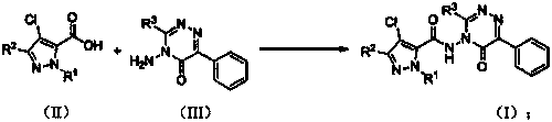 Preparation method and application of a 5-pyrazole amide compound with triazone structure