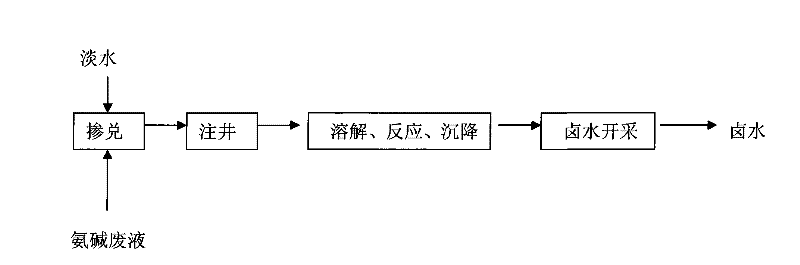 Resource recycling method of waste ammonium alkali liquid for well injection and brine extraction of sodium sulfate type salt mine