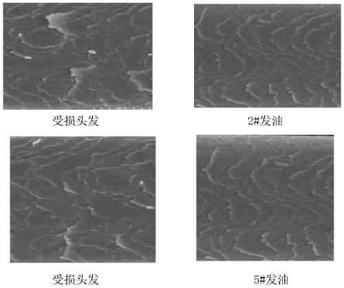 Hair repair composition, and preparation method and application of hair repair composition