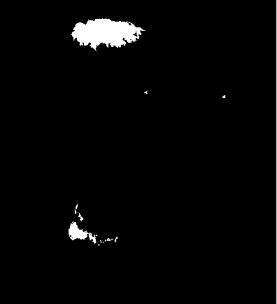 Method of producing konjac sexual seeds by means of artificial pollination