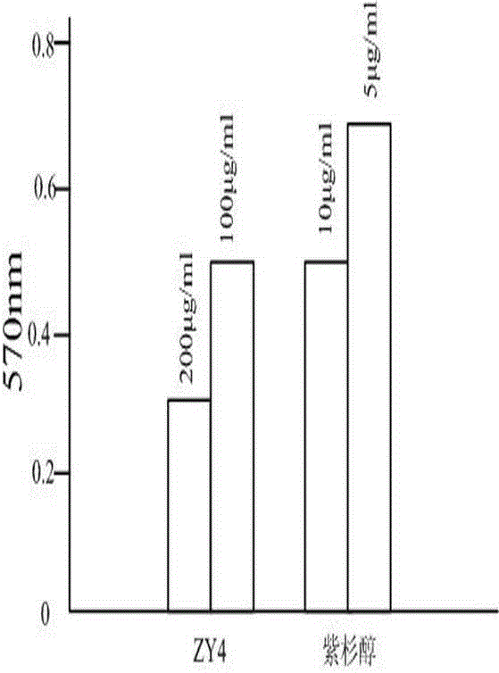 Small molecule polypeptide ZY4 and application thereof