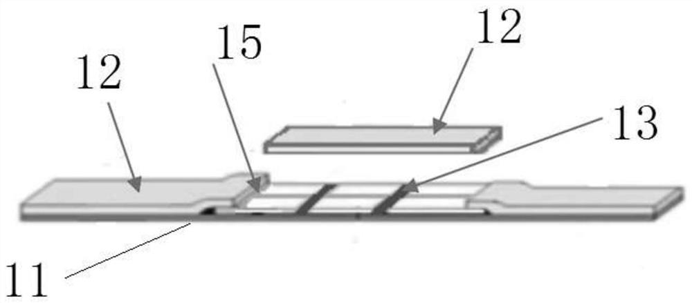 Muscle movement ability monitoring system and monitoring method