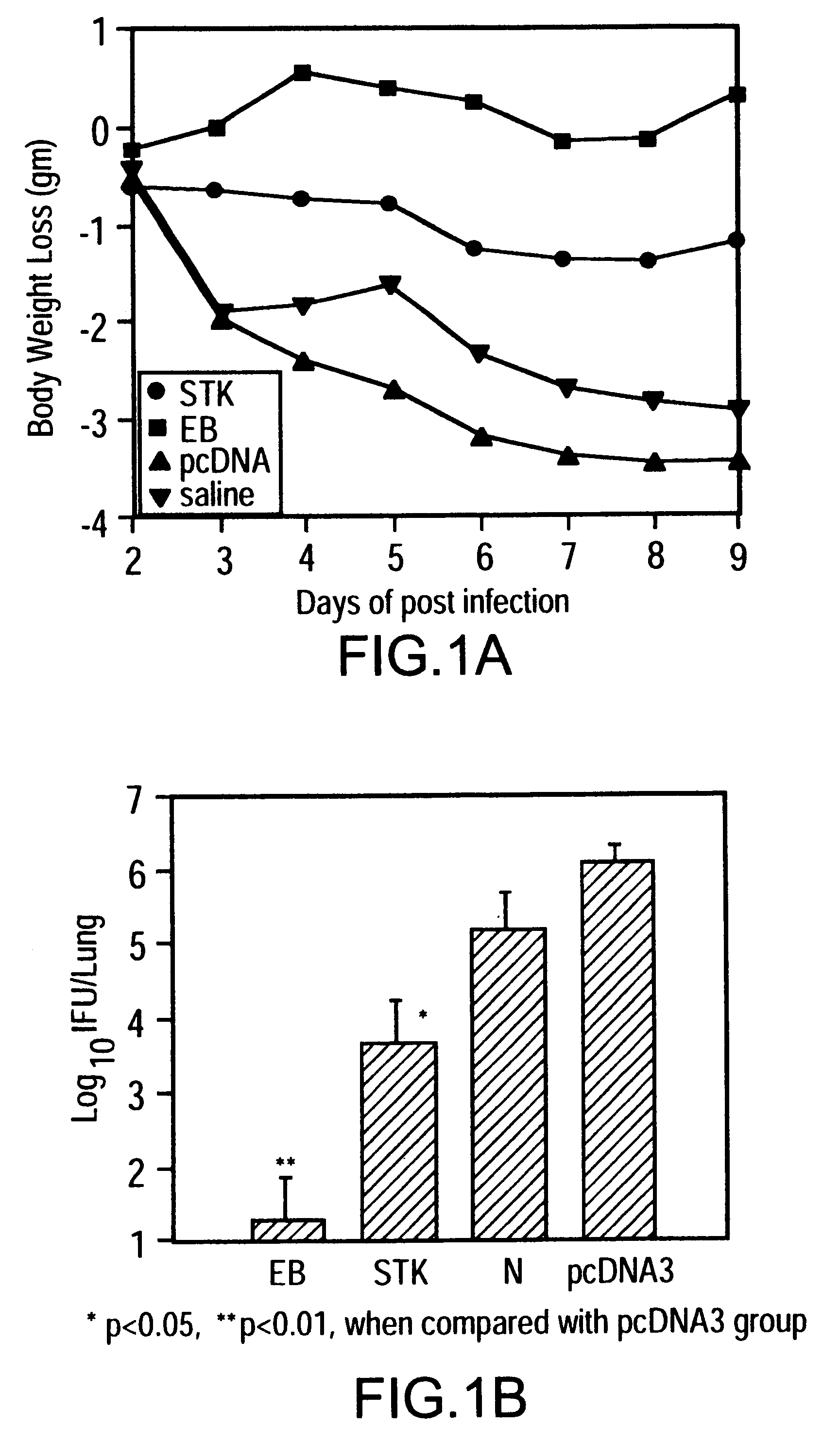 DNA immunization against chlamydia infection