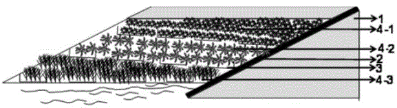 Ecological renovating technical method for suburban hardened revetments