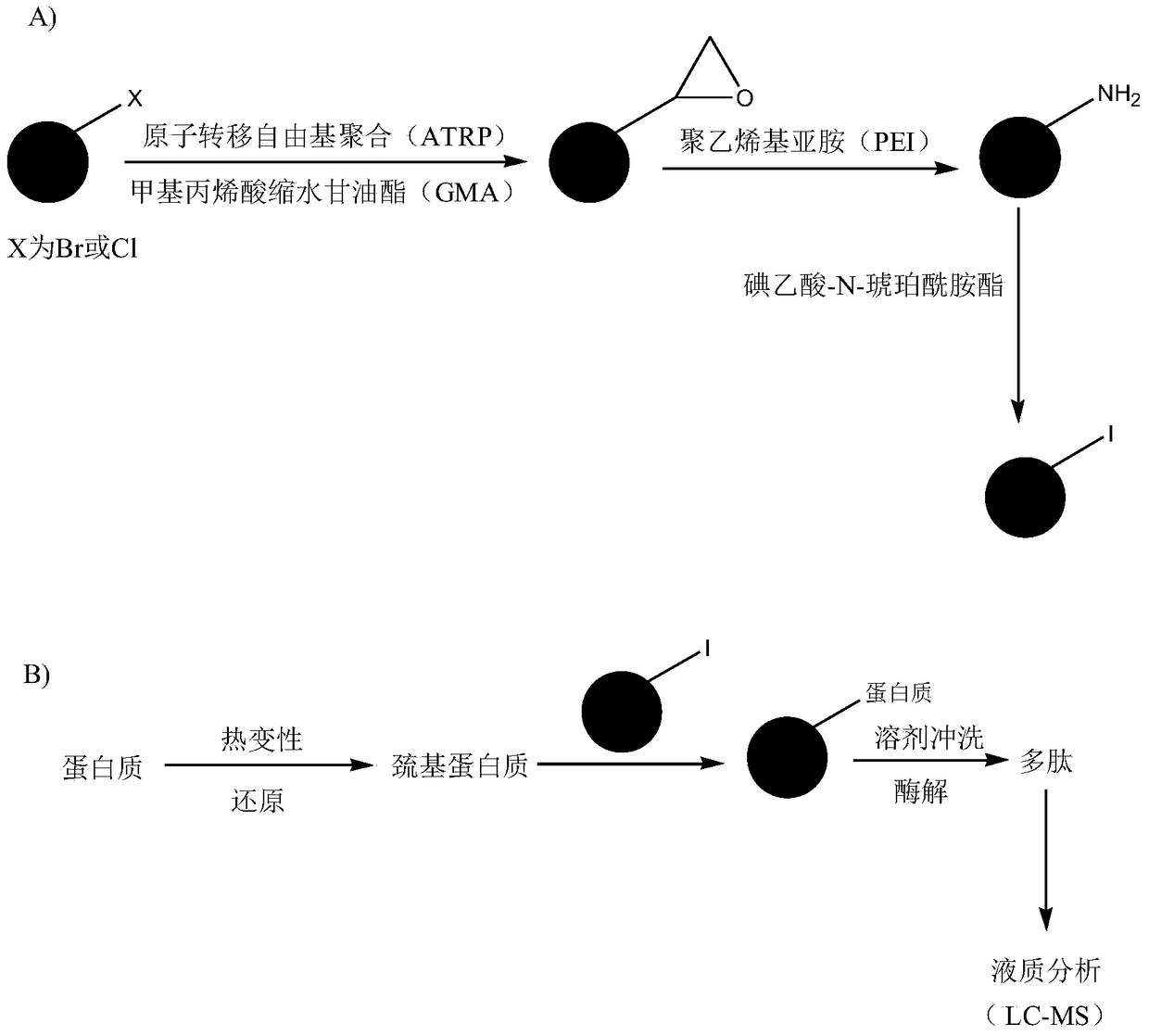 Preparation of protein solid-phase alkylation reagent, solid-phase alkylation reagent and application