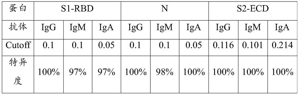 Novel coronavirus detection reagent strip and novel coronavirus detection kit comprising same