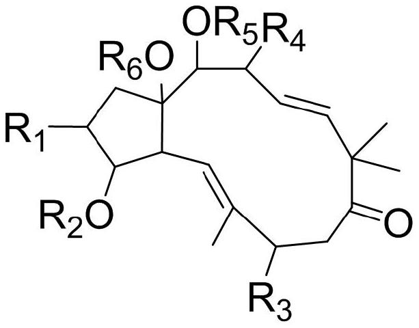 Jatropha curcas alkane type diterpenoid compound, preparation method and application thereof