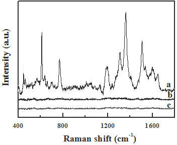 Specific detection method of human breast cancer cells MCF-7 based on surface-enhanced Raman spectroscopy