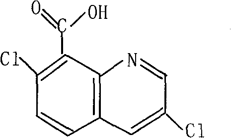 Herbicidal composition containing quinclorac and metazachlor