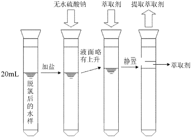 Method for accurately quantifying 1,1-dichloroacetone and 1,1,1-trichloroacetone in water