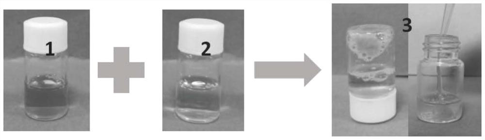 A kind of water-based adhesive composed of peptide and zein and preparation method thereof