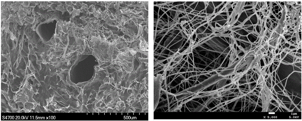 Biological scaffold material suitable for cell growth and preparation method of biological scaffold material