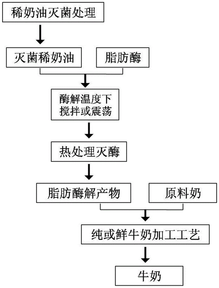 Lipase enzymolysis product, milk as well as preparation method and